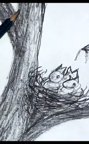 Bird drawing
