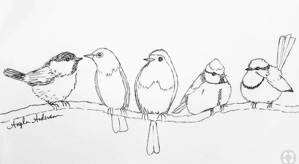 Birds for drawing