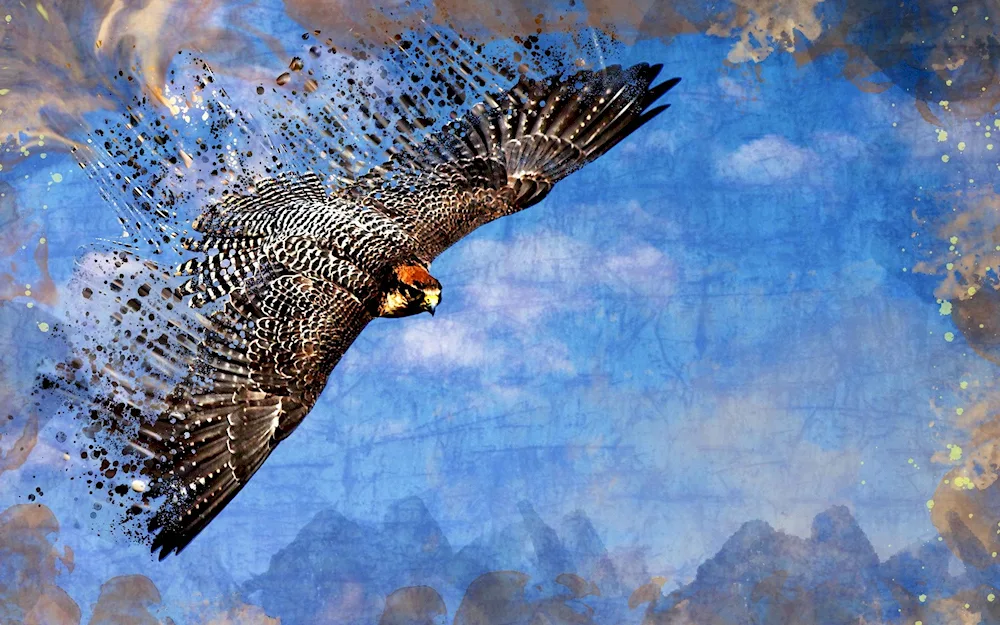 Hawk Gyrfalcon