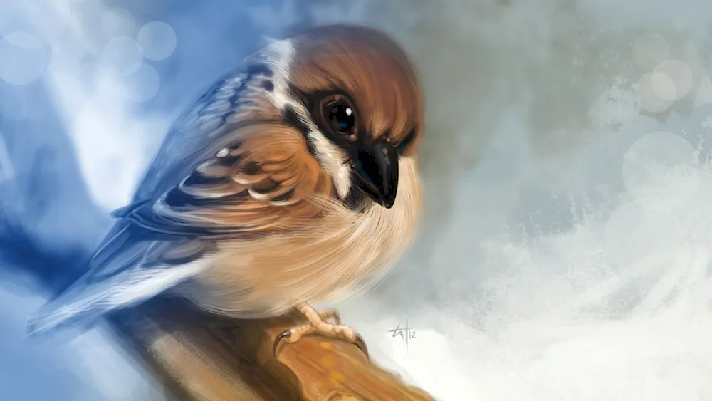 Birds