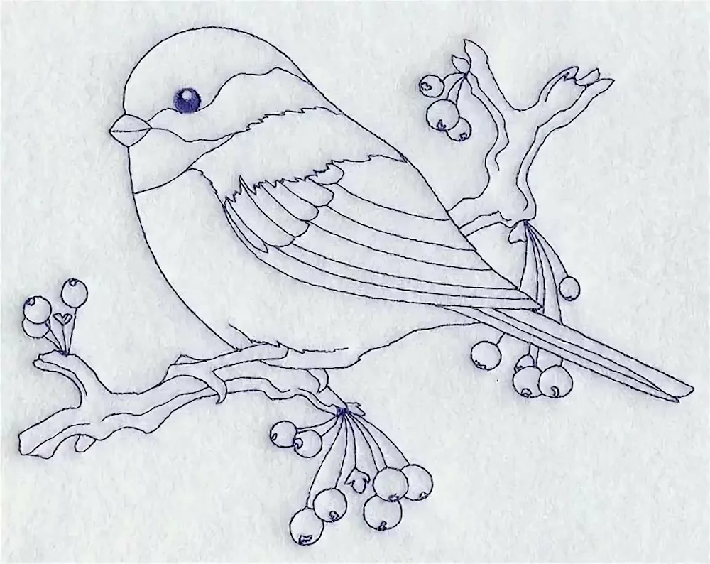 Birds for drawing