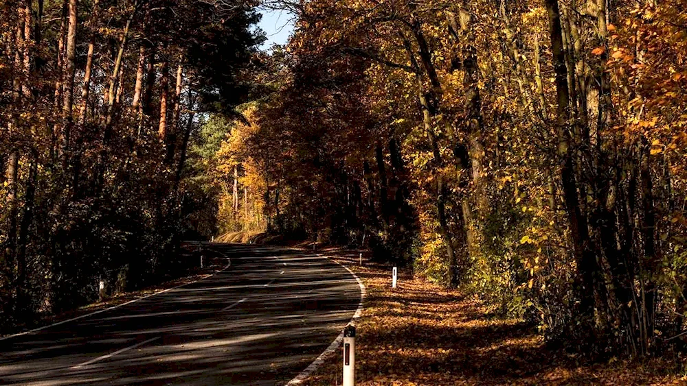 Pudozh alley in autumn