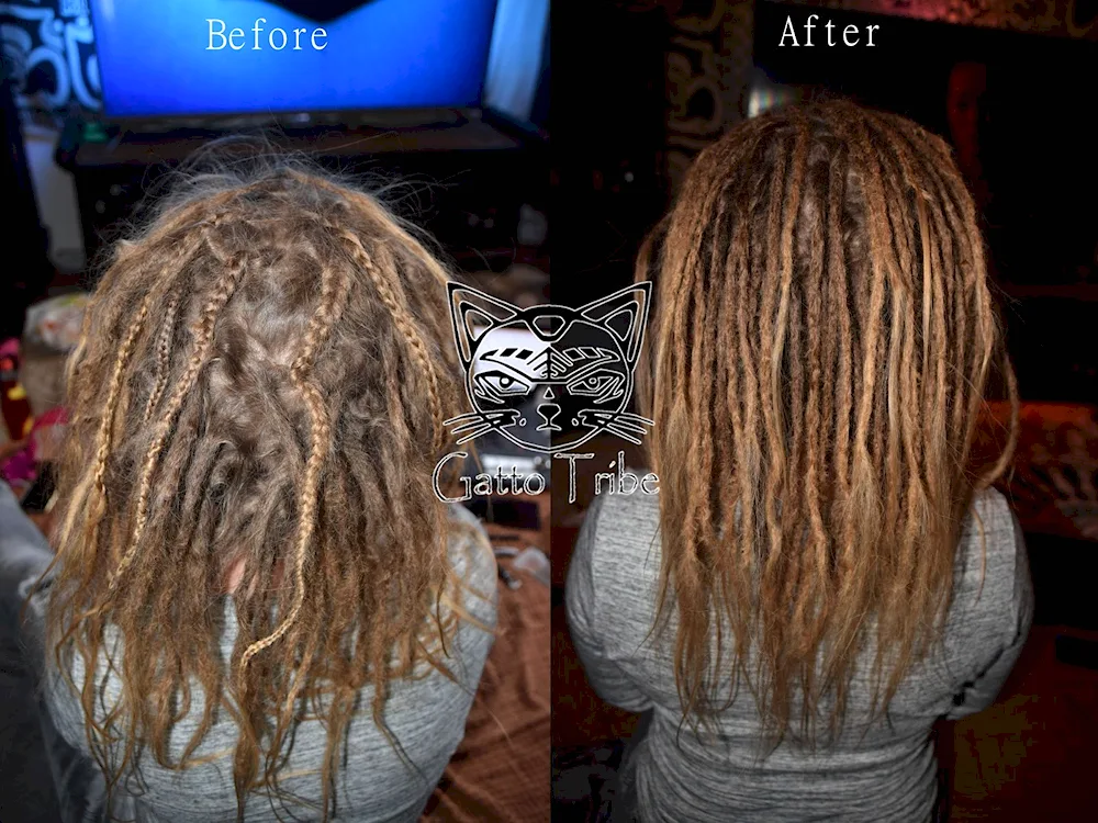 Push up dreadlocks