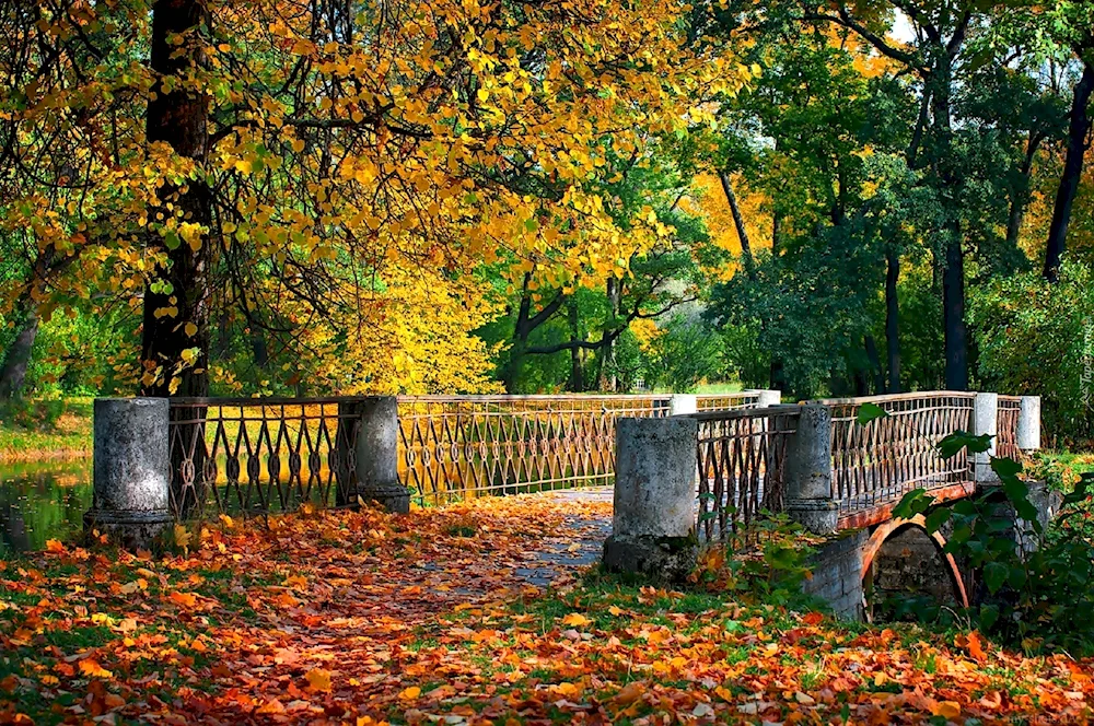 Pushgori Autumn Park