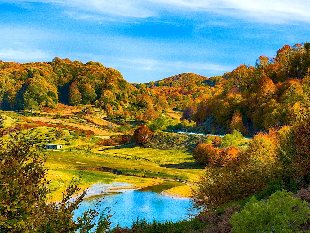 Autumn