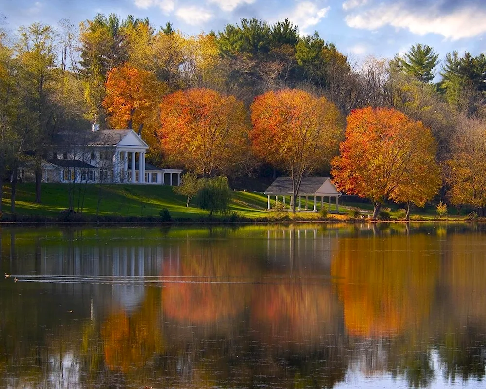 Autumn nature