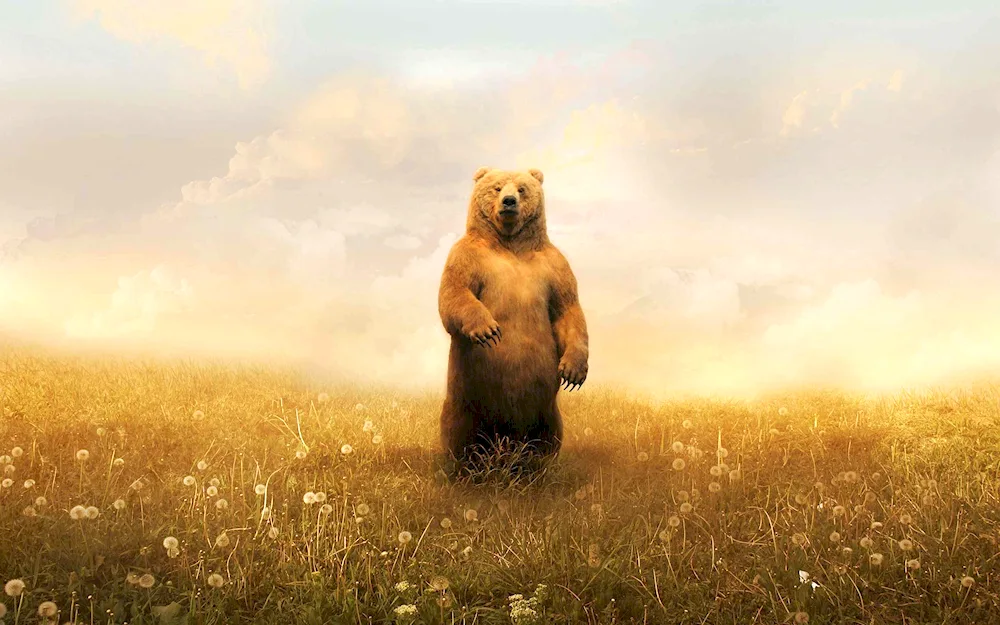 An angry Grizzly bear