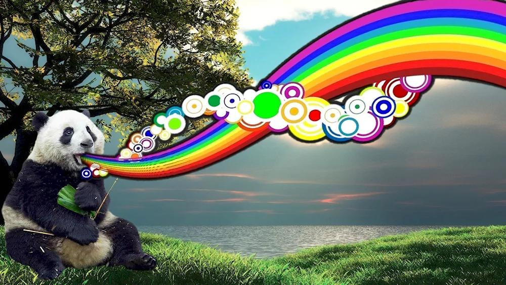 Rainbow wiggly parrots