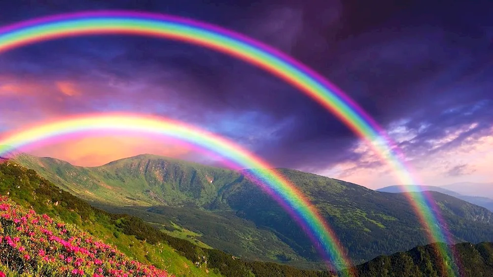 Vibrant landscape