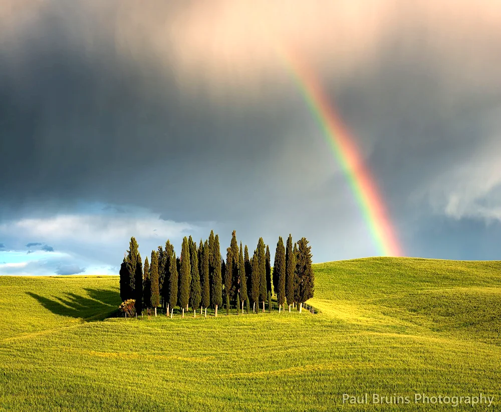 A beautiful summer landscape