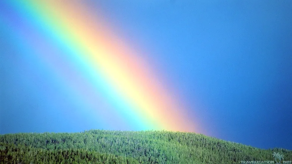 Rainbow background