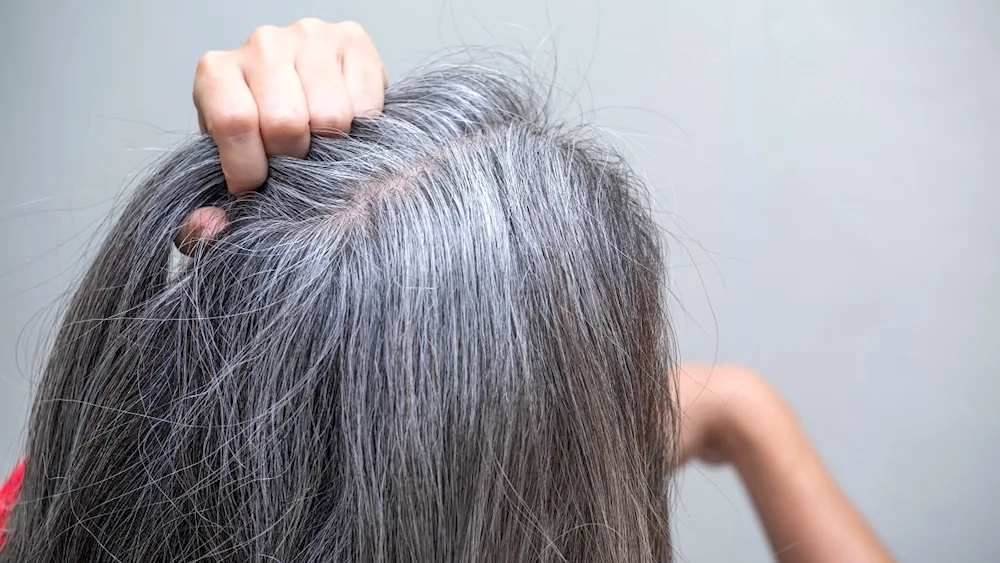 Grey hair strand