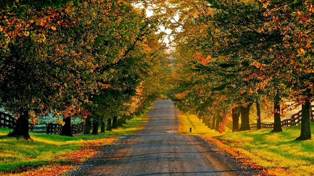 Beautiful autumn