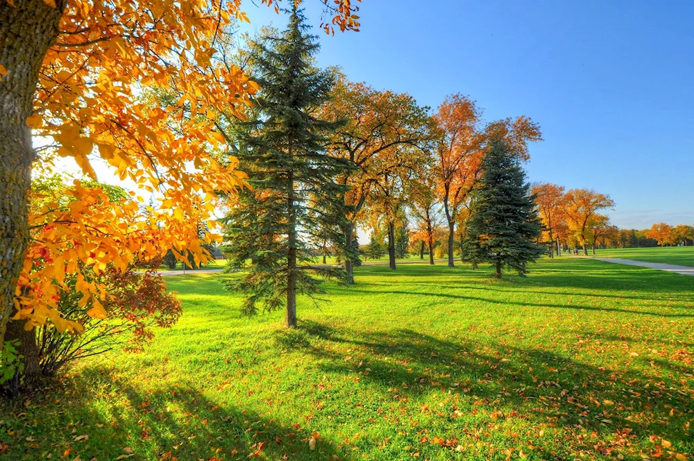 Early autumn