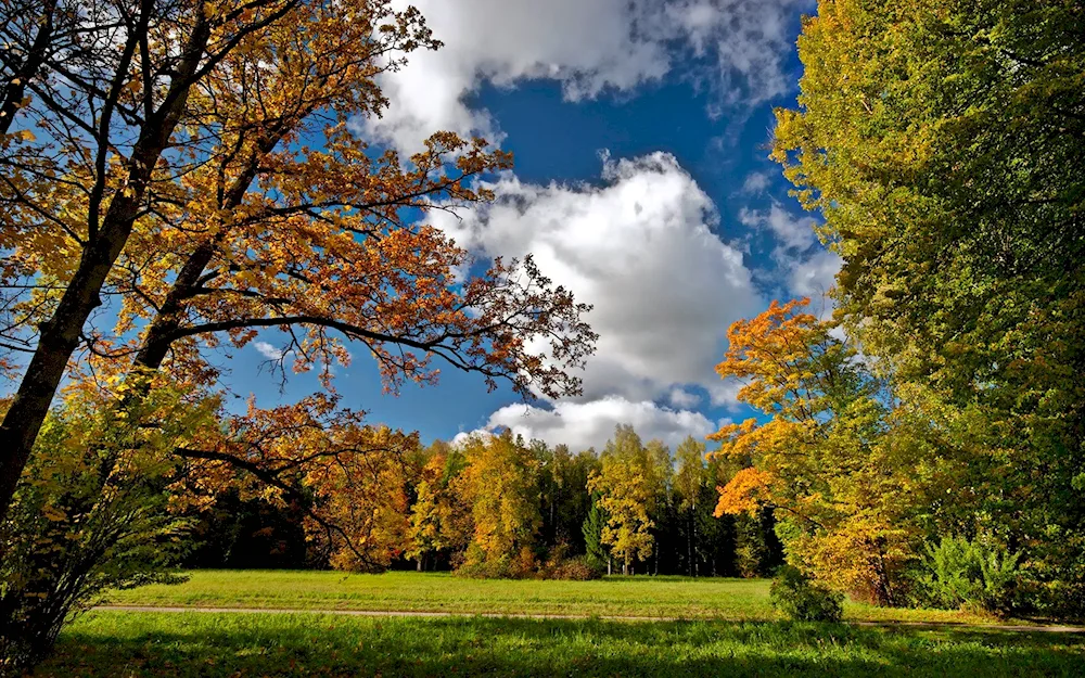 Autumn autumn
