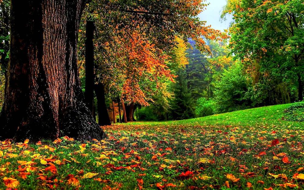 Autumn river river mountain autumn