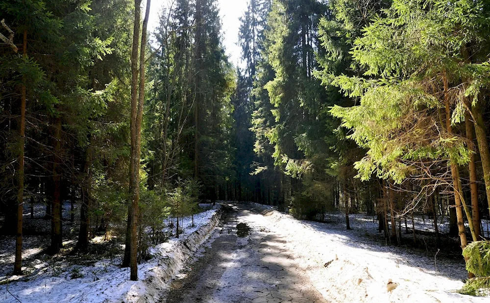 Early spring