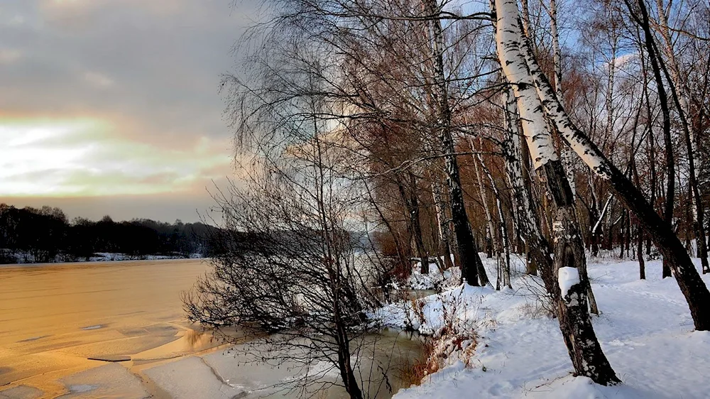 Winter Landscape