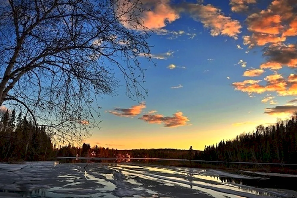 Early Spring