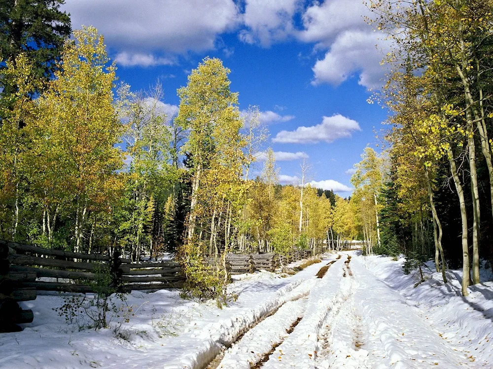 Early Spring Nature