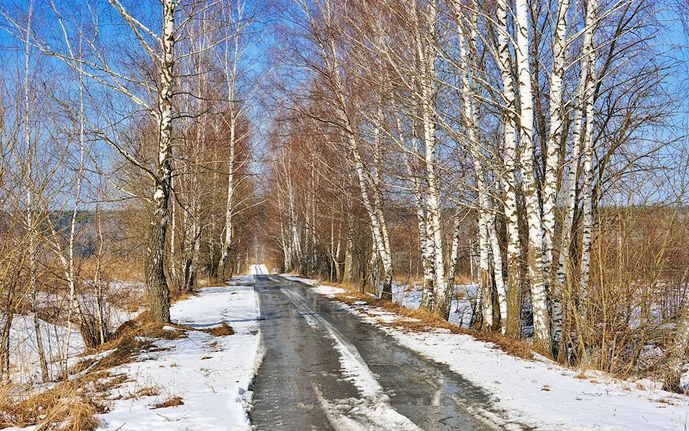 ‘Early Spring in Abramtsevo’ Levitan