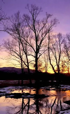 Early Spring evening