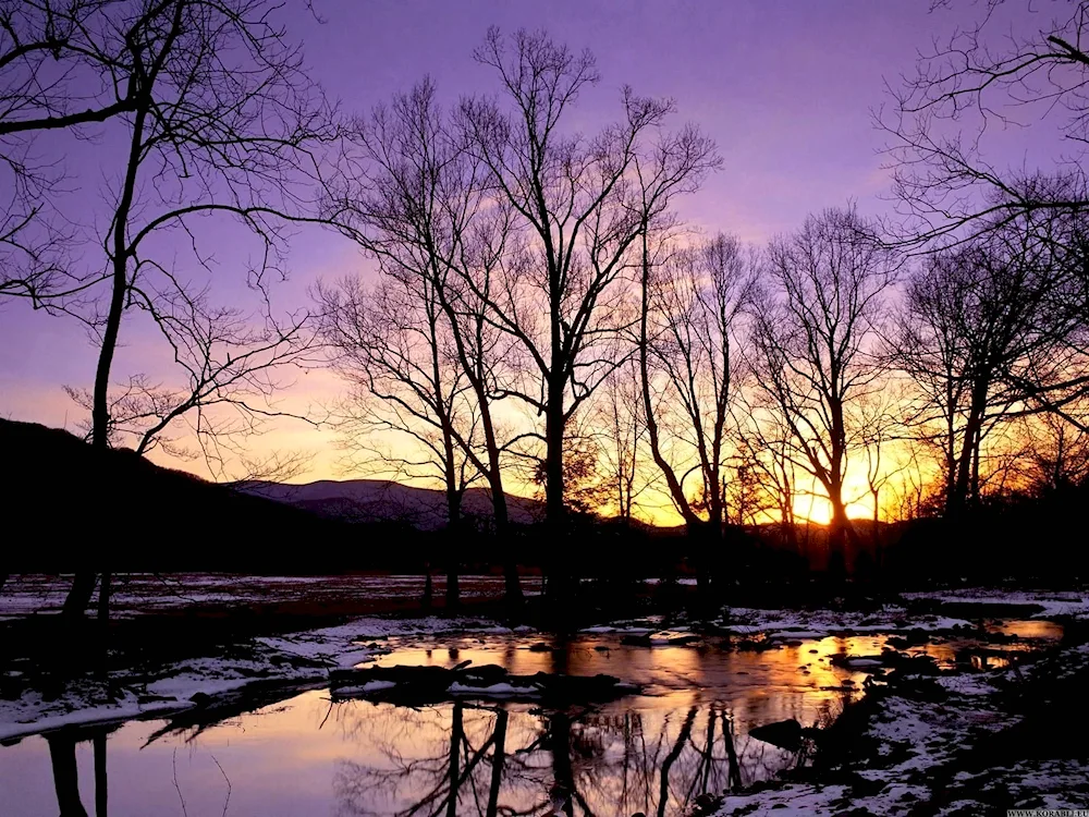 Early Spring evening
