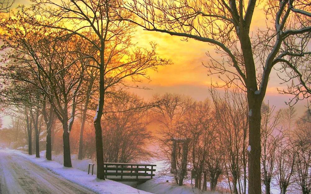 November nature