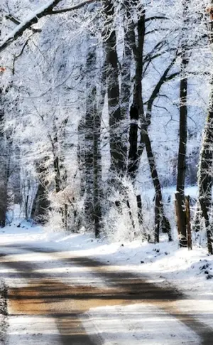 Early winter