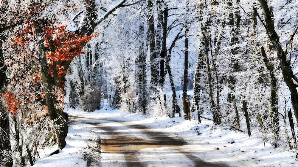 Early winter
