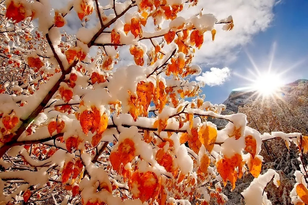 Late winter