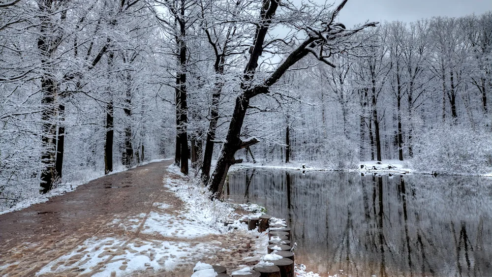 Early winter