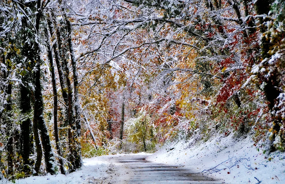 Autumn landscape