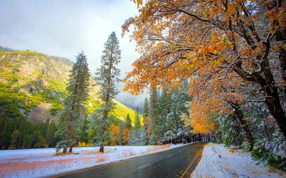 Autumn landscape