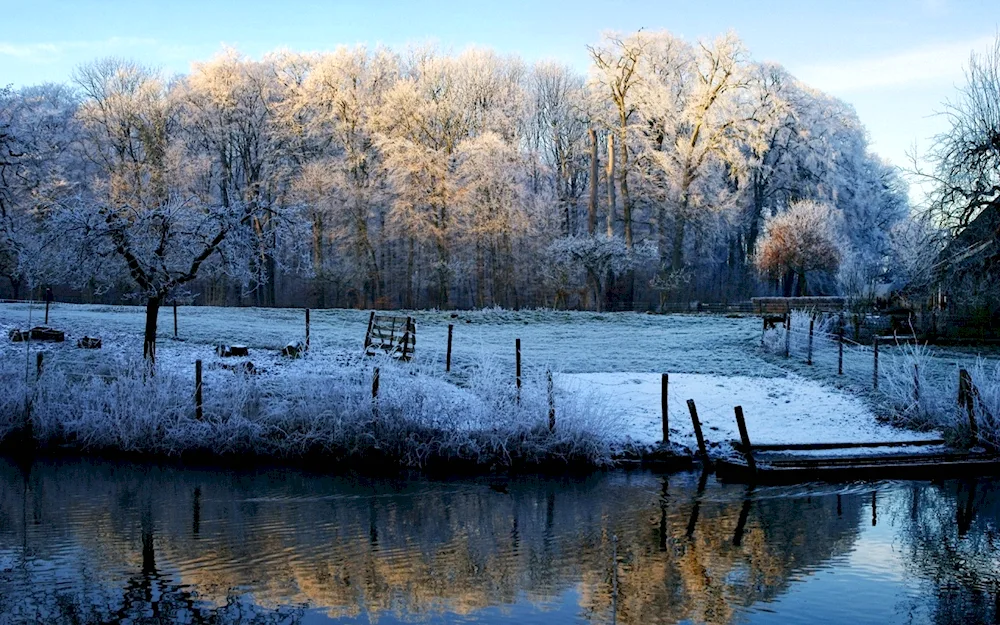 Early winter