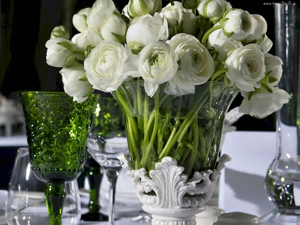 Ranunculus Buttercup White