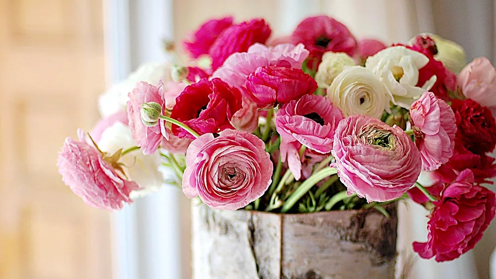 Ranunculus Buttercup White