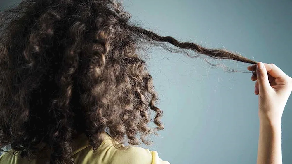 Curly kids