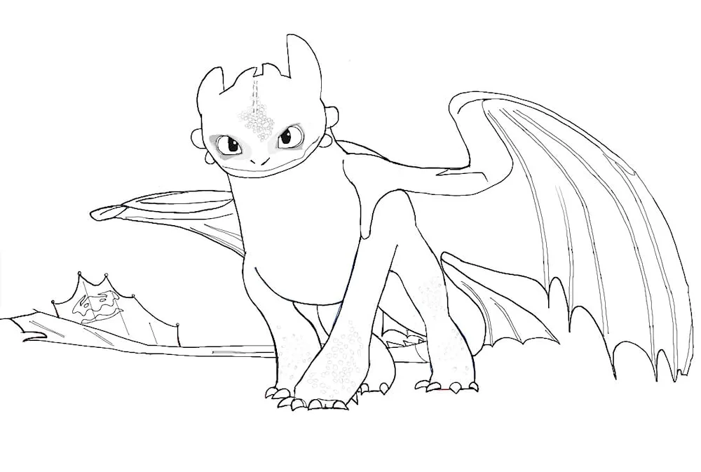Colouring Toothless Night Fury