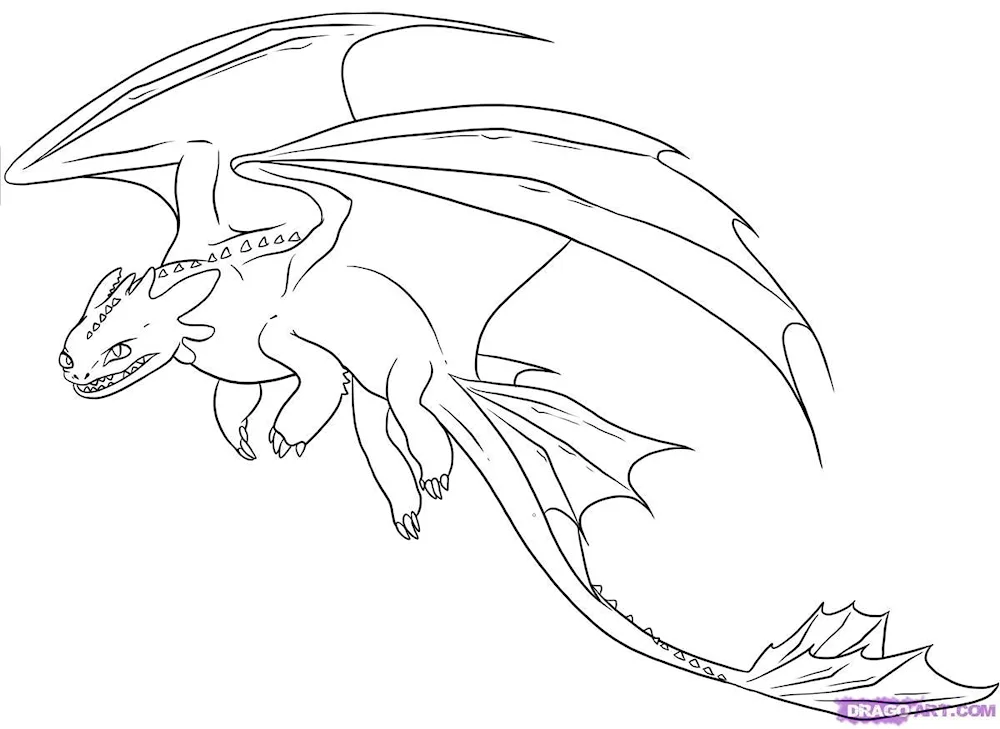 Colouring of Toothless Night Fury