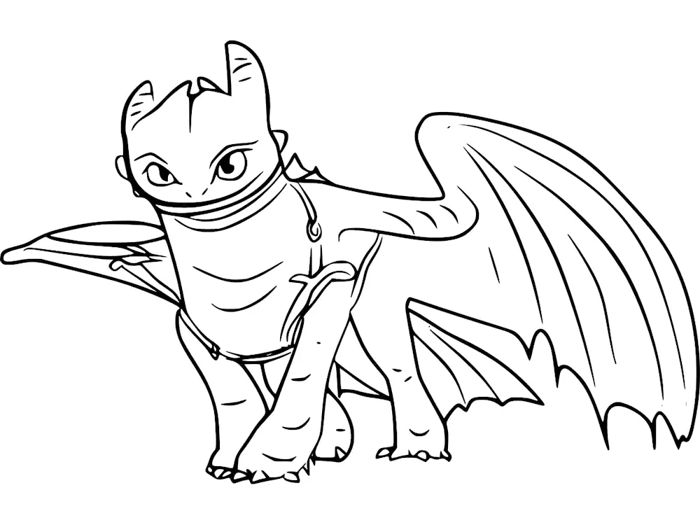 Colouring dragon night fury