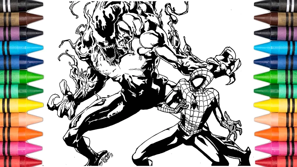 Colouring man Spider-Man and Venom Marvel