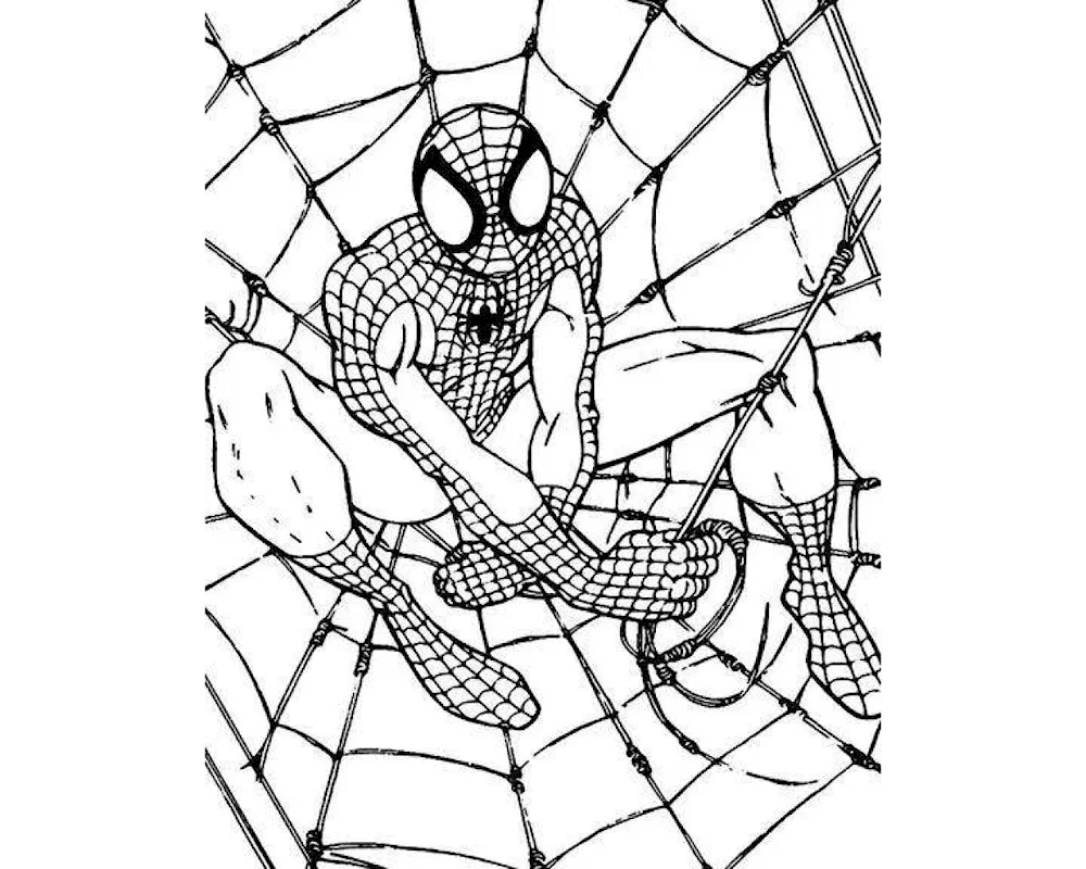 Sam Raimi's Spider-Man colouring book