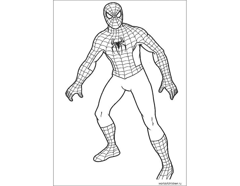 Marvel Avengers Spider-Man colouring books