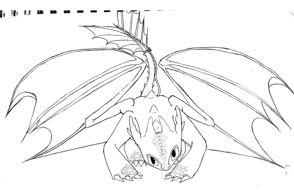 Toothless dragon colouring