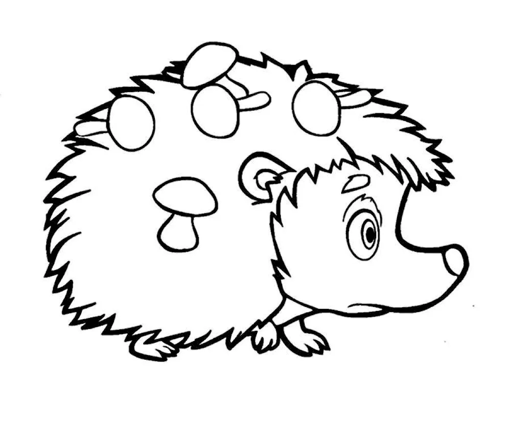 Hedgehog drawing