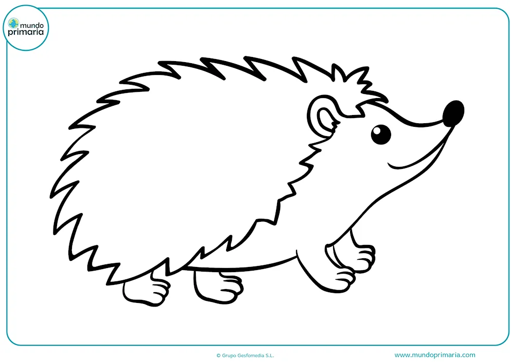 Hedgehog colouring
