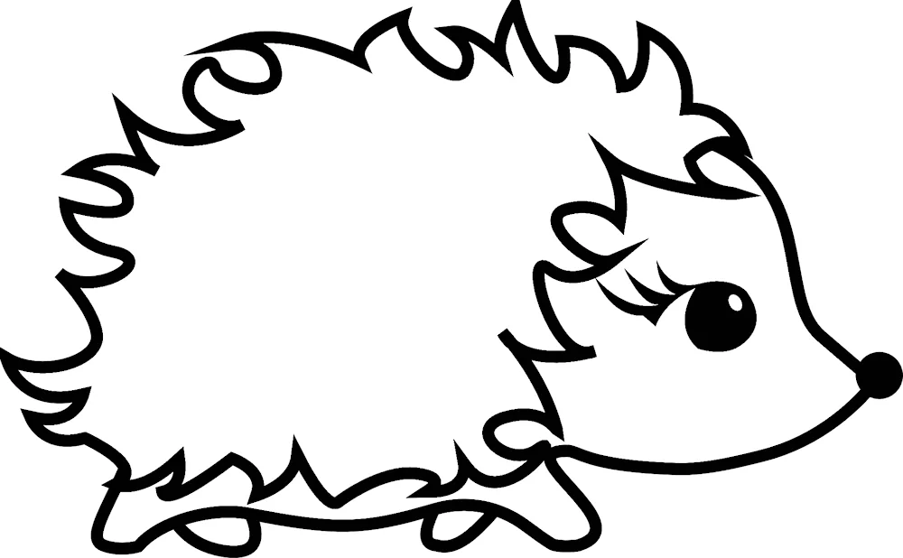 Hedgehog drawing
