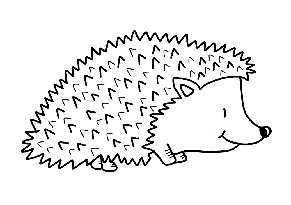 Hedgehog colouring for kids