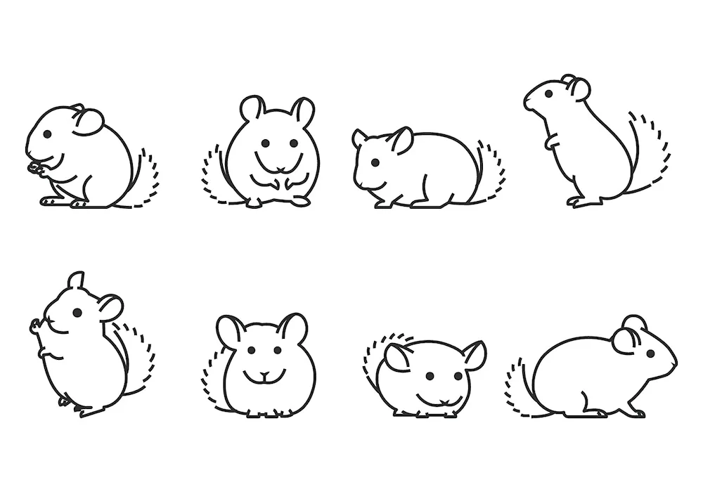 Hamster pencil drawing